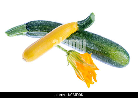 Fresh zucchini fruit wit flower isolated on white background Stock Photo