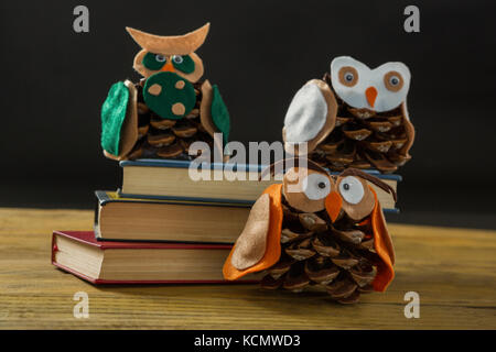 Close up of owls made with pine cones on books at table against black background Stock Photo