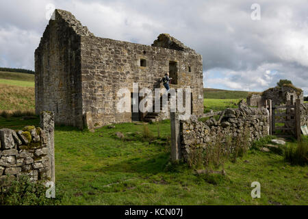 Exterior of the best preserved Grade 2 listed Bastle (a fortified 18th/19th century farmhouse) at Black Middens, on 28th September 2017, in Gatehouse, Northumberland, England. Bastel, bastle, or bastille houses are a type of construction found along the Anglo-Scottish border, in the areas formerly plagued by border Reivers. Typically, the bastle was 10-12 metres long by 5-6 metres wide with walls up to 1.6 metres thick. Some 400 tonnes of sandstone blocks were needed for construction with corner quoins (corner stones) weighing up to 300kg. Bastles would have been costly to build so afforded by Stock Photo