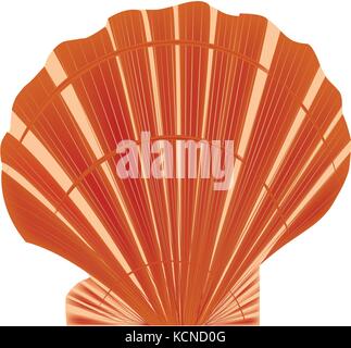 Sea shell vector on white background Stock Vector