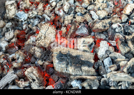 Smoldering coals for shish kebab. Burning coals. Stock Photo