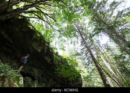 A hiker inspects a overhanging rock feature on the heriot Bay trail on Quadra Island, British Columbia, Canada Stock Photo