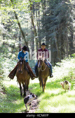 Horseback riders exercise their horses along with with their dogs on a trail system in Black Creek, The Comox Valley