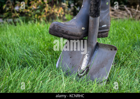 spades and rubber boots in the garden with green grass Stock Photo