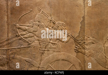 Hunting Mesopotamia lion. Ashurbanipal on chariot. Relief. Neo-Assyrians. Palace, Nineveh, Irak. 645-635 BC. British Museum. London. Stock Photo