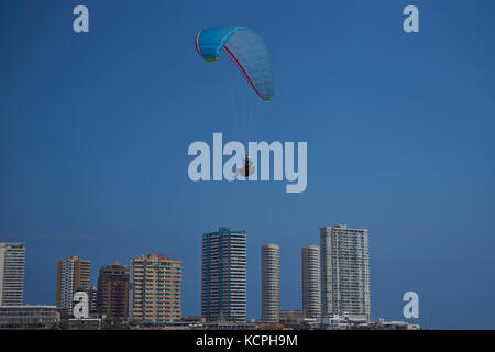 Paraglider coming in to land on Cavancha Beach in the coastal city of Iquique in the Tarapaca Region of northern Chile Stock Photo