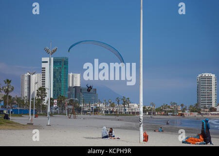 Paraglider coming in to land on Cavancha Beach in the coastal city of Iquique in the Tarapaca Region of northern Chile Stock Photo