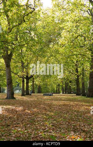 Green Park. London, UK. 6th Oct, 2017. People enjoying early autumn sunshine in Green Park, London. Credit: Dinendra Haria/Alamy Live News Stock Photo