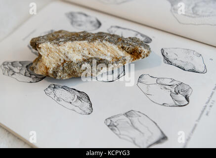 Ostelsheim, Germany. 06th Oct, 2017. A stone tool lying on an open book with comparison images in Ostelsheim, Germany, 06 October 2017. Josef Strzempek, amateur archaeologist and employee of the Heimatmuseum in Gechingen, found stone tools in a field in neighbouring Althengstett end of September. The stone tools may indicate that the man of the 'Steinheim skull' (Homo heidelbergensis) roamed the edges of the Black Forest 250,000 to 300,000 years ago. Credit: Sina Schuldt/dpa/Alamy Live News Stock Photo