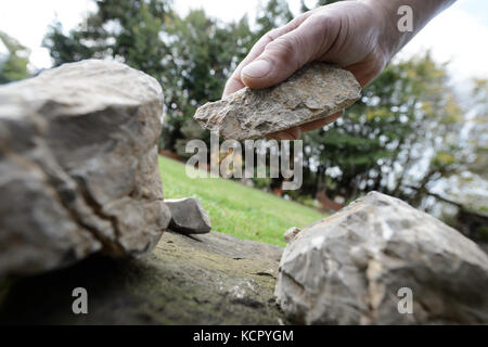 Ostelsheim, Germany. 06th Oct, 2017. Stone tools being shown in Ostelsheim, Germany, 06 October 2017. Josef Strzempek, amateur archaeologist and employee of the Heimatmuseum in Gechingen, found stone tools in a field in neighbouring Althengstett end of September. The stone tools may indicate that the man of the 'Steinheim skull' (Homo heidelbergensis) roamed the edges of the Black Forest 250,000 to 300,000 years ago. Credit: Sina Schuldt/dpa/Alamy Live News Stock Photo