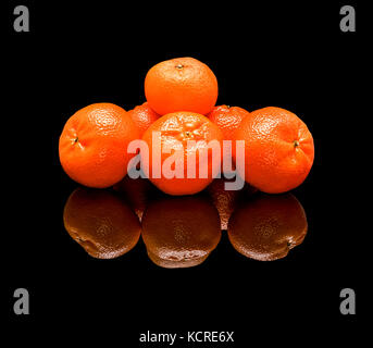 Bunch of mandarins. On a black glossy background with real reflection. Stock Photo