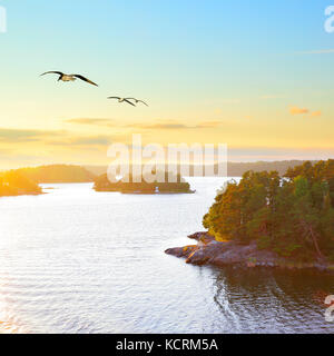 Scandinavian landscape with small islands at sundown and flying sea gulls Stock Photo