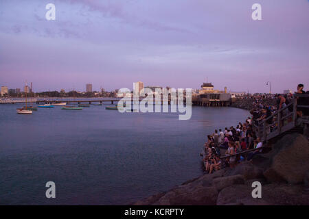 Phillip Island, Melbourne Australia at dusk looking for fairy penguins Stock Photo