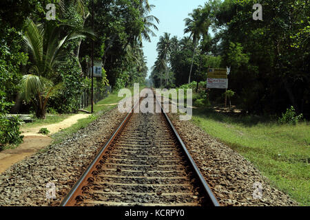 Bentota Sri Lanka Train Tracks and Palm Trees Stock Photo