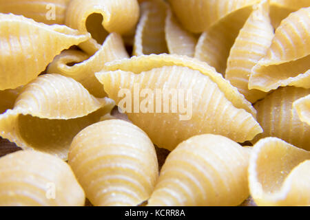 Close up of dry uncooked whole wheat small shell pasta. Stock Photo