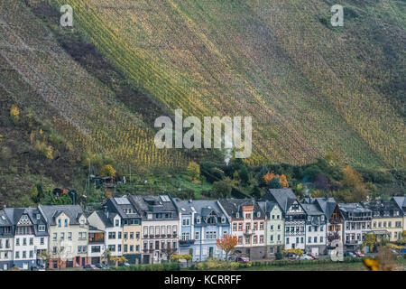 German wine industry: vineyards of Zell an der Mosel, Zell, Mosel, Germany Stock Photo