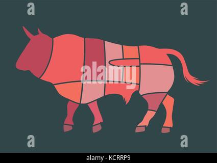 Set of butcher diagrams. Cut of bull Stock Vector
