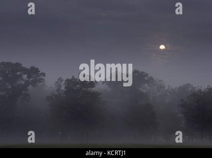 Magical harvest moon over the trees surrounded by fog at night. Fall Landscape.