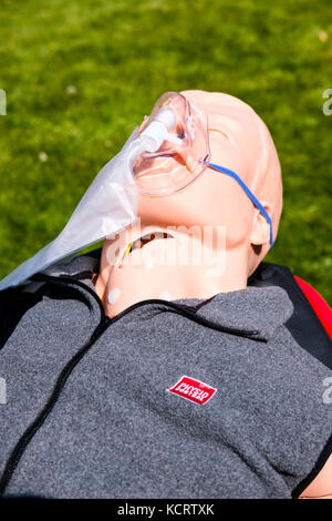 Medical mannequin, CPR dummy used for cardiopulmonary resuscitation training. Stock Photo