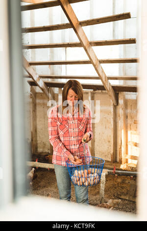 Woman holding bucket of eggs in farm Stock Photo