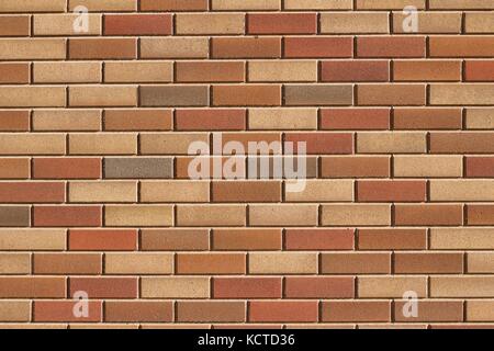 Attractive modern brick wall background with varying shades of light brown colored bricks in traditional design. Stock Photo