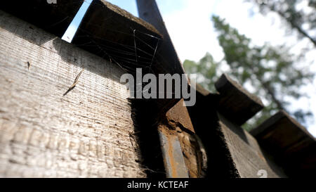 Old Cobwebs in abandoned house. The spider net under the roof. Cobwebs under the roof Stock Photo