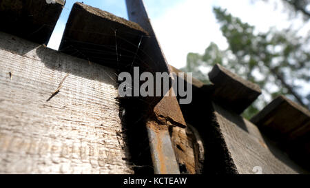 Old Cobwebs in abandoned house. The spider net under the roof. Cobwebs under the roof Stock Photo