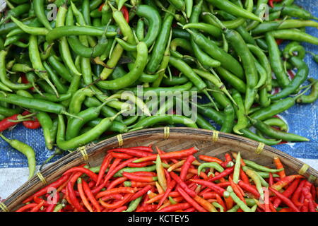 Rote und grüne Chilli Schoten auf Markt in einem Korb - Red and green chilli peppers on market in a basket Stock Photo