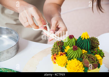 a close-up of the confectioner  makes of a cream of green and yellow cactus on a homemade yellow cake with bicquets, stuffing from currants and cheese Stock Photo