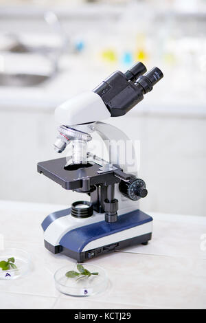Close-up shot of modern binocular microscope standing on desk of chemistry lab, seedlings lying in Petri dishes prepared for carrying out experiment,  Stock Photo