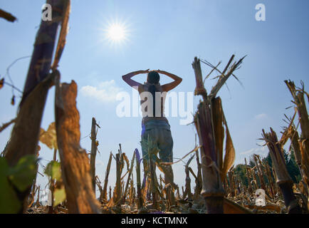 Woman in Munich, September 24, 2017 Woman in psychological crisis and depression in a corn field on September 24, 2017 in Munich, Germany. MODEL RELEA Stock Photo