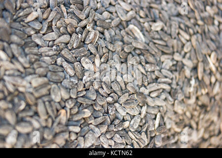 Detail of roasted salty sunflower seeds on a fair stall, dramatic selective focus Stock Photo