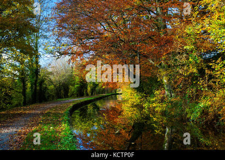 Colurful autumn trees reflected in the Monmouth and Brecon Canal Stock Photo