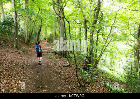 Walking on the Offa's Dyke footpath above Tintern in the Wye Valley, UK Stock Photo