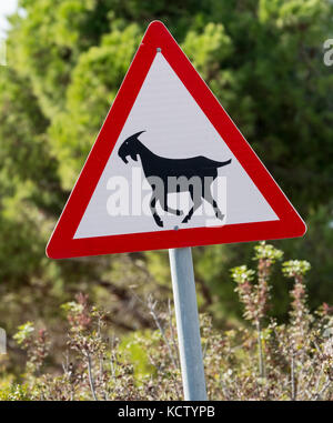 Beware of Goats on the road sign near Paphos, Cyprus. Stock Photo