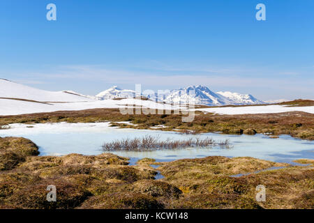 Frozen pond in high Arctic Tundra landscape on Mount Storsteinen in summer. Tromso, Troms, Norway, Scandinavia Stock Photo