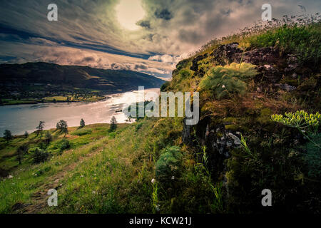 Columbia River Gorge, Oregon, USA; Balsamroot and Lupine wildflowers Stock Photo