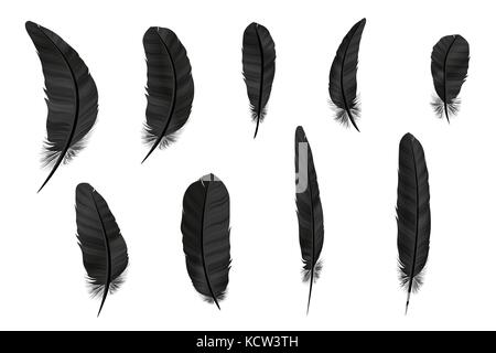 Set of black silhouettes of feathers on white background, vector ...