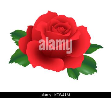 3d realistic red rose single flower detailed vector illustration with green glossy leaves art Stock Vector