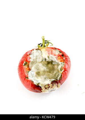 rotten tomato isolated on white,image of a Stock Photo
