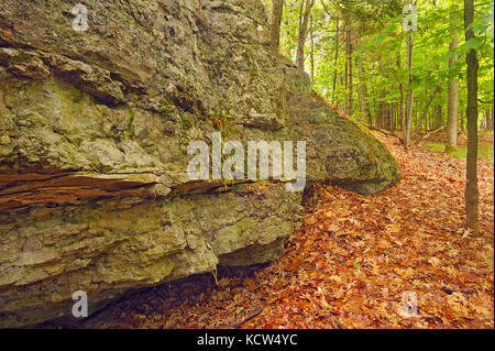 Rock and leaves, Thousand Islands National Park, Ontario, Canada Stock Photo