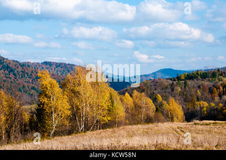 Trees with colorful foliage on the hillside meadow. Autumn in Carpathian mountains. Scenic landscape Stock Photo