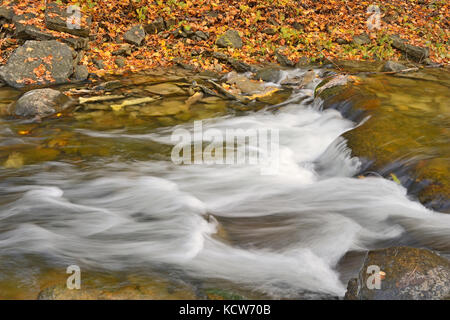 Kagawong Creek , Manitoulin Island, Ontario, Canada Stock Photo
