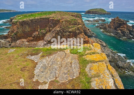 Cliffs along the rocky shoreline of the Atlantic Ocean, Elliston, Newfoundland & Labrador, Canada Stock Photo