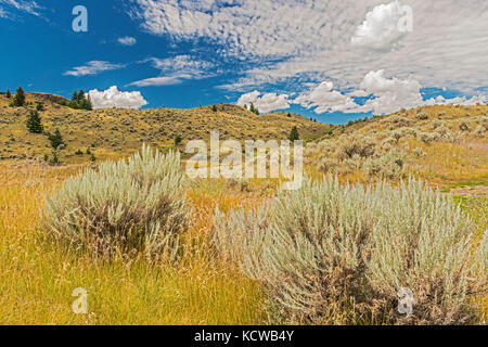 Sagebrush and Grasslands. Thompson Valley, Kamloops, British Columbia, Canada Stock Photo