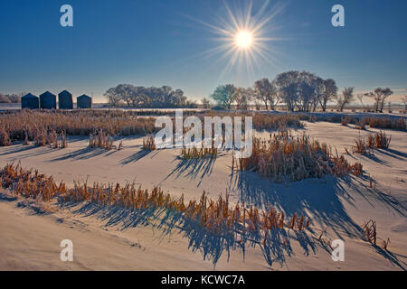 Hoarfrost on landscape at sunrise , West of Regina, Saskatchewan, Canada Stock Photo