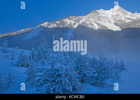 Fog along Kicking Horse River and The Canadian Rocky Mountains, Field, British Columbia, Canada Stock Photo