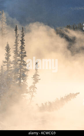 Fog rising over the Bow River st sunrise. Castle Junction, Banff National Park, Alberta, Canada Stock Photo