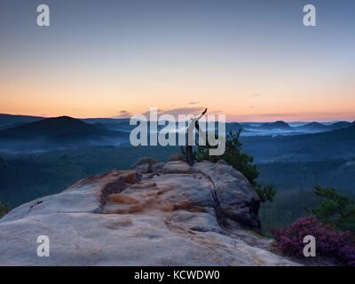 Wild bonsai pine tree on sandstone rocky cliff. Tourist resort. Natural park.  Blue mist in long valley below peak. Toned photo. Stock Photo