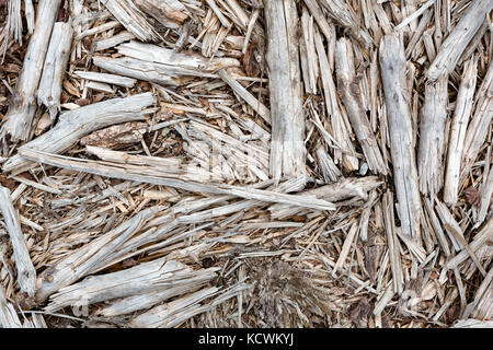 Abstract top view of old branches, sticks and twigs lying on the ground. Stock Photo